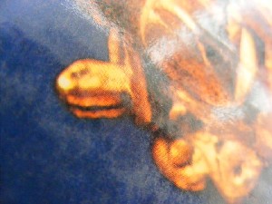 biblioteca 122 copy.jpg